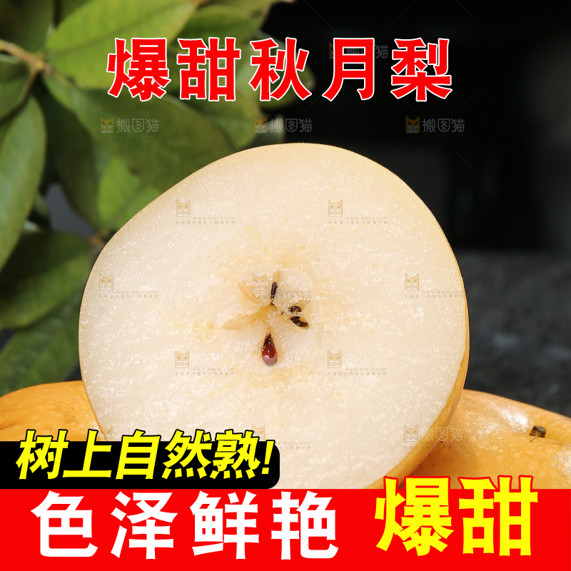 堆放着的莱阳秋月梨