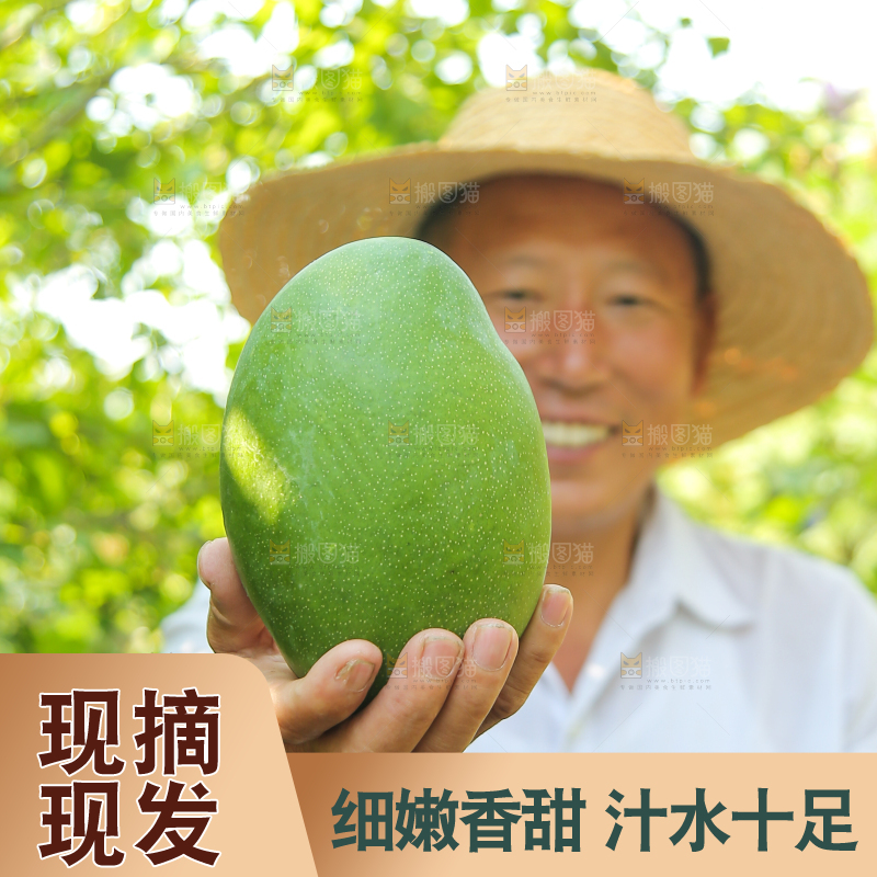 农民手里拿着青皮凯特芒