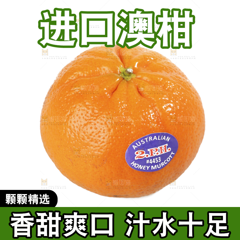 白底上放着新鲜澳柑