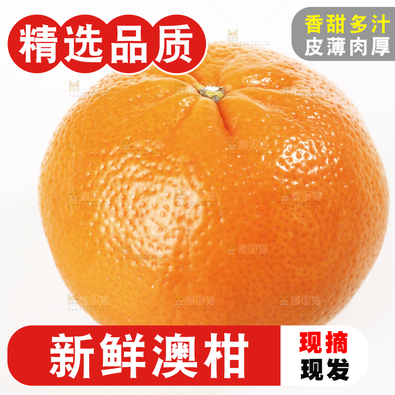 白底上放着新鲜澳柑
