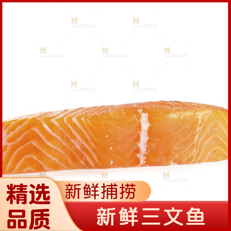 白底上摆放着三文鱼