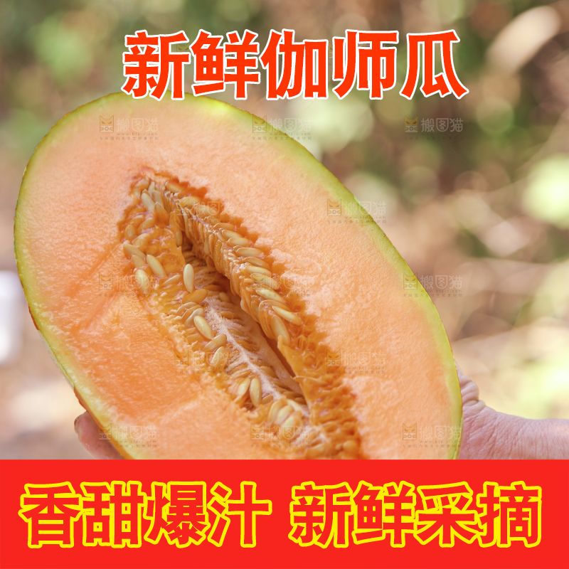 手里拿着切开的哈密瓜