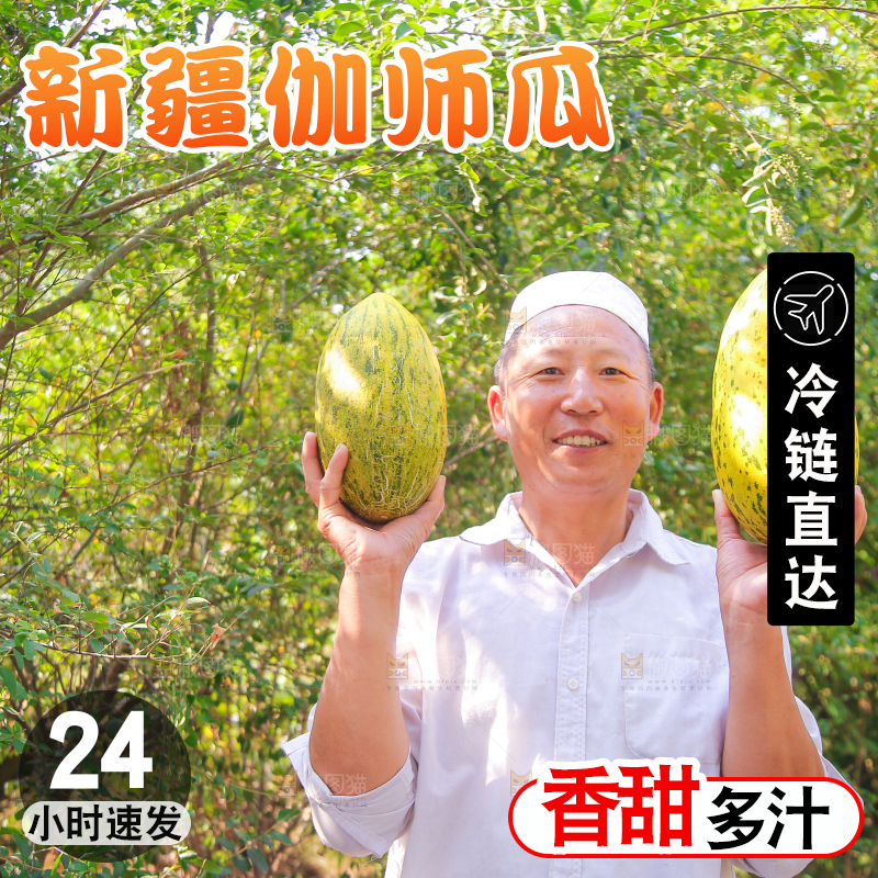 农民手拿着新鲜伽师瓜