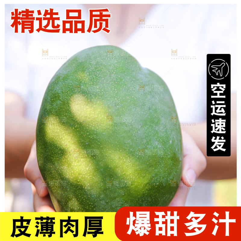 手里拿着凯特大青芒