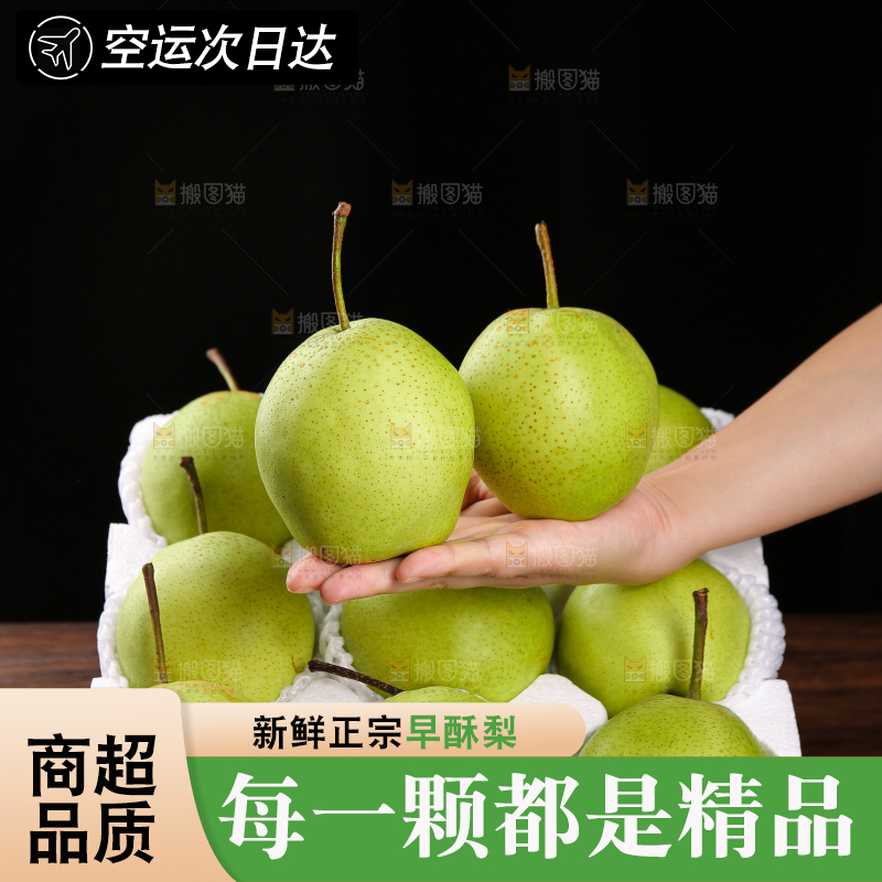 手上放着陕西早酥梨