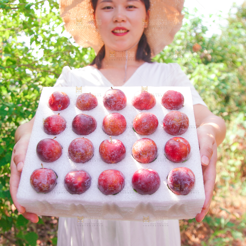 女孩手里拿着一盒红脆李