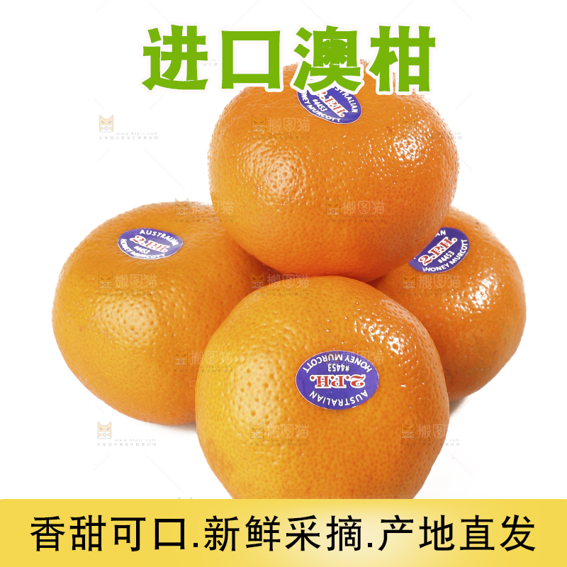 白底上摆放着新鲜澳柑