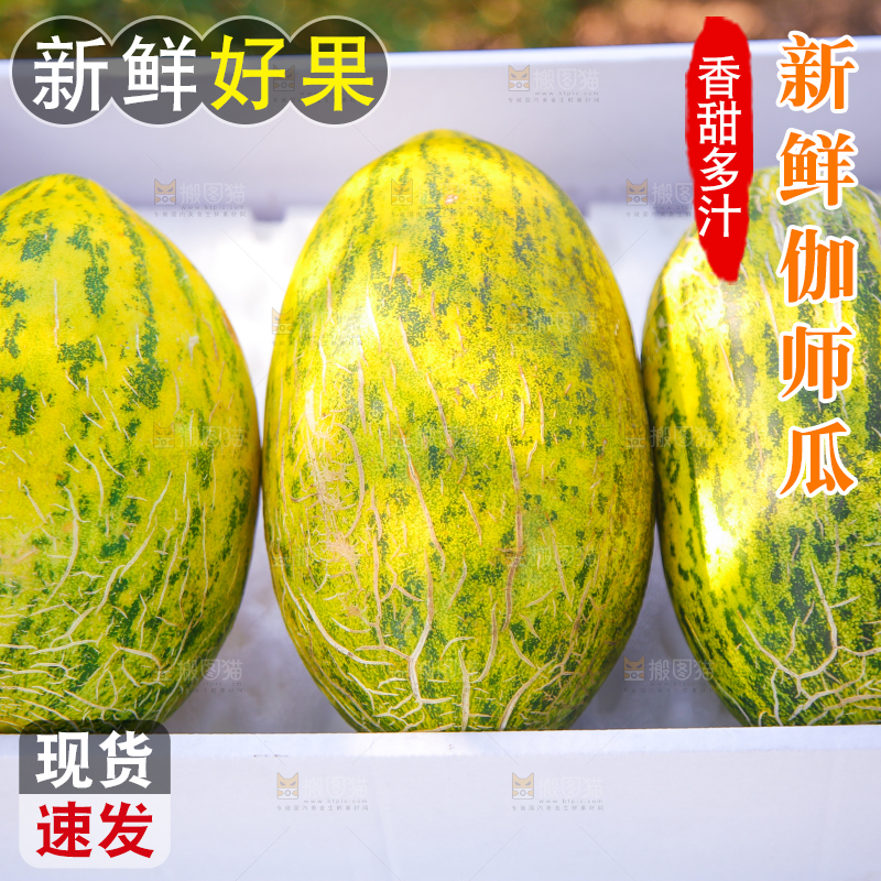礼品盒里的新疆伽师瓜