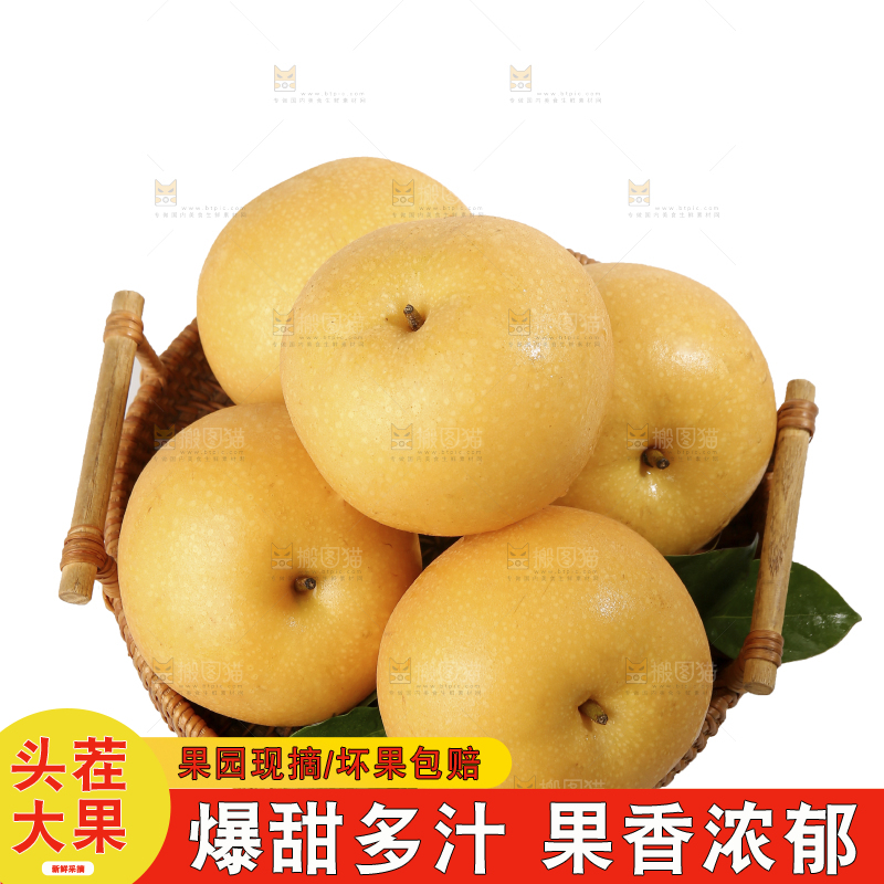 白底上放着一篮秋月梨