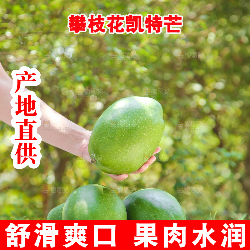 手里拿着凯特芒果
