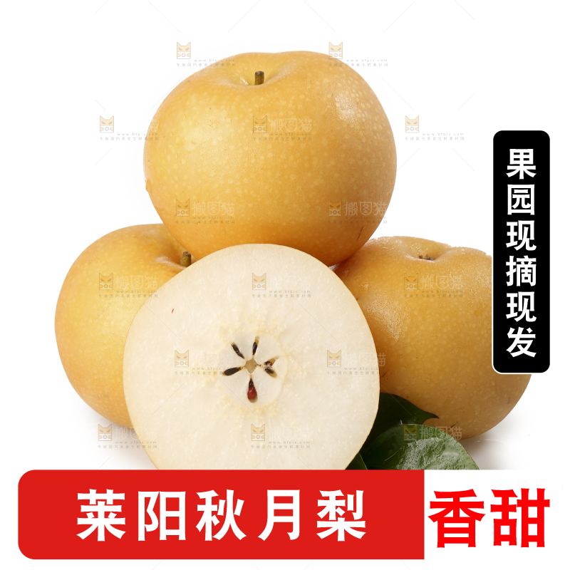 白底上摆放着秋月梨