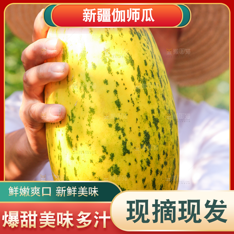 农民手拿新鲜伽师瓜