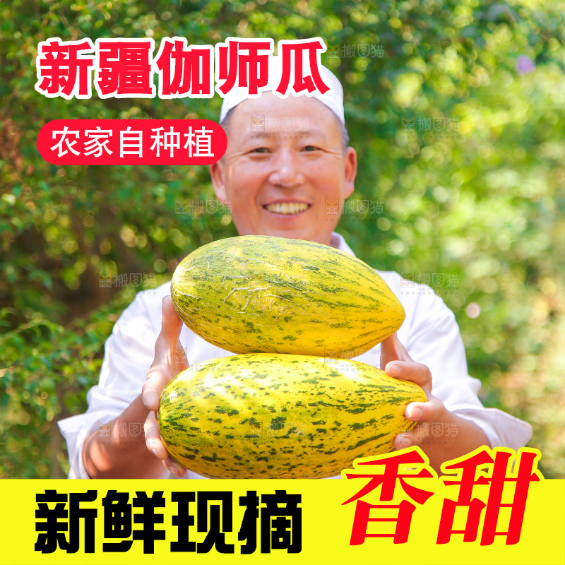 农民手里拿着伽师瓜