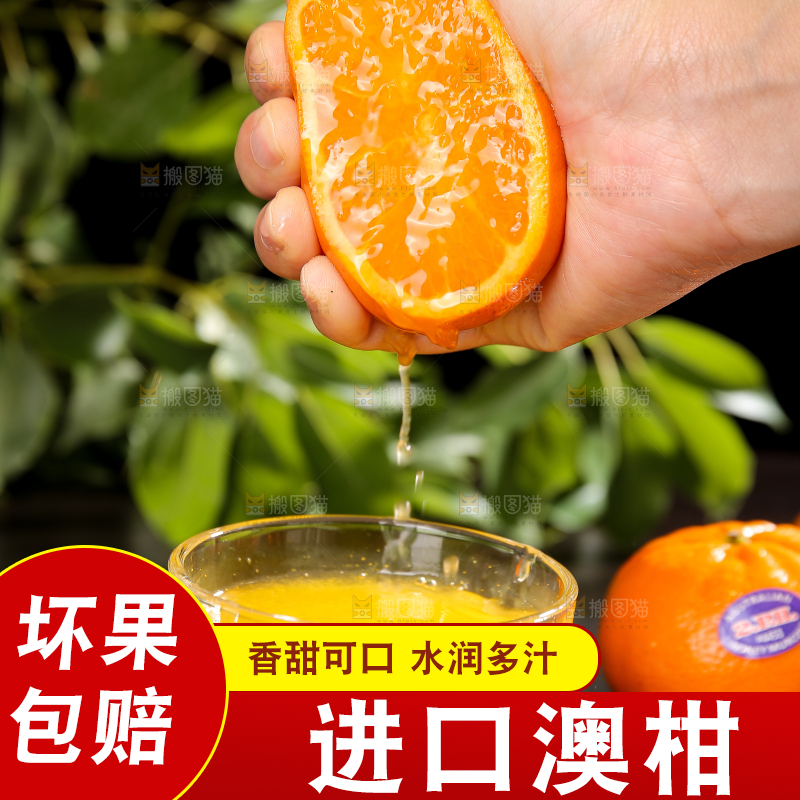 手里爆汁的新鲜澳柑