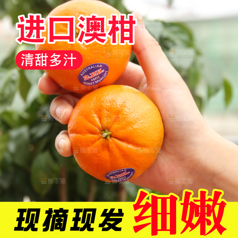 手里拿着进口澳柑