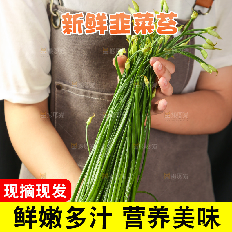 手里拿着韭菜苔