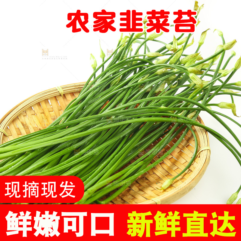 白底上的一篮韭菜苔
