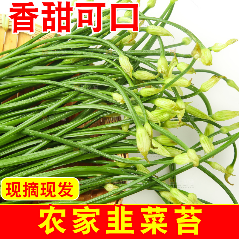 白底上的一篮韭菜苔
