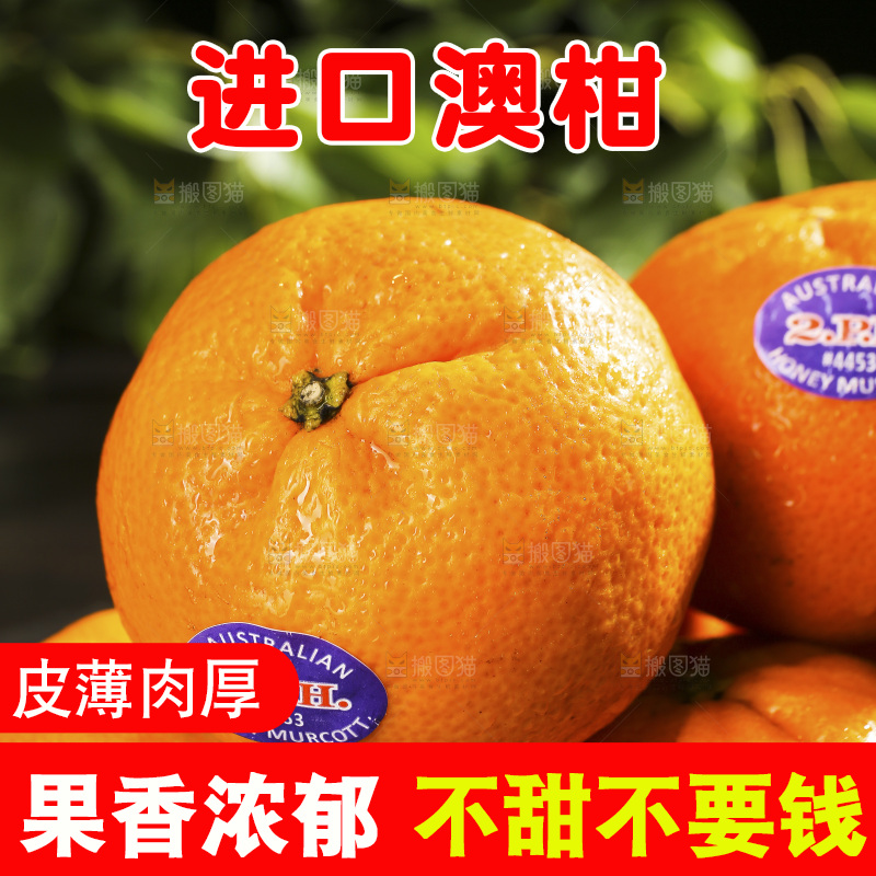 堆放着的新鲜澳柑