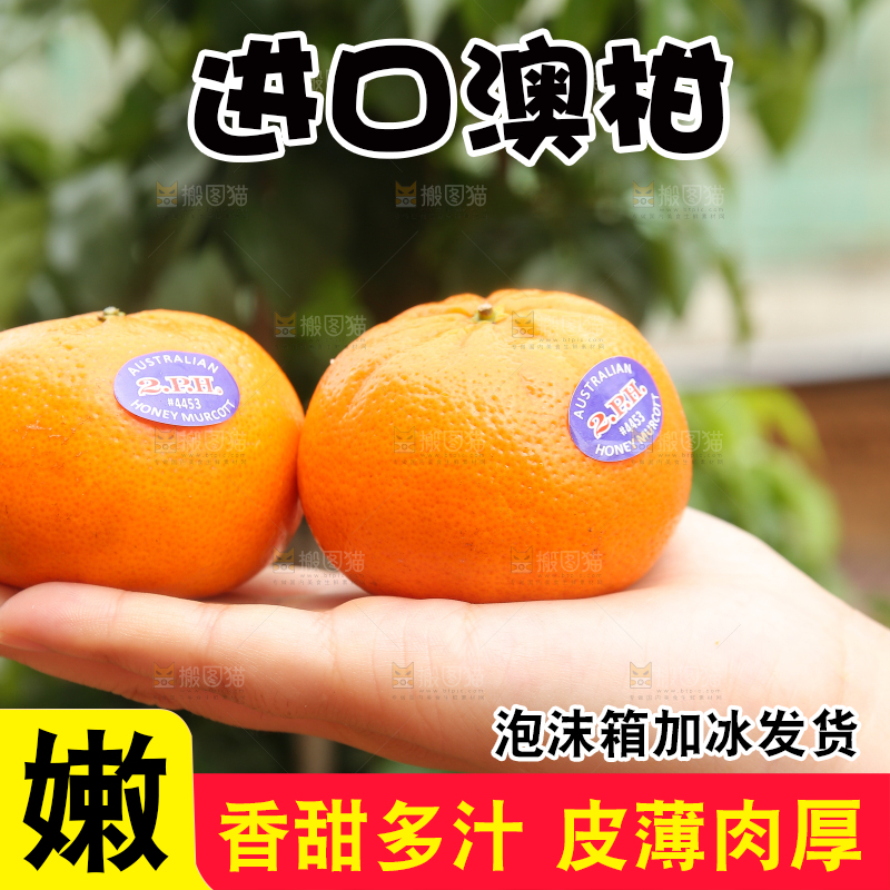 手上放着进口澳柑