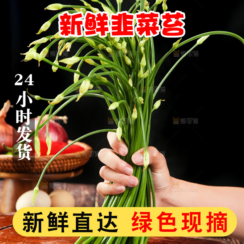 手里拿着韭菜苔