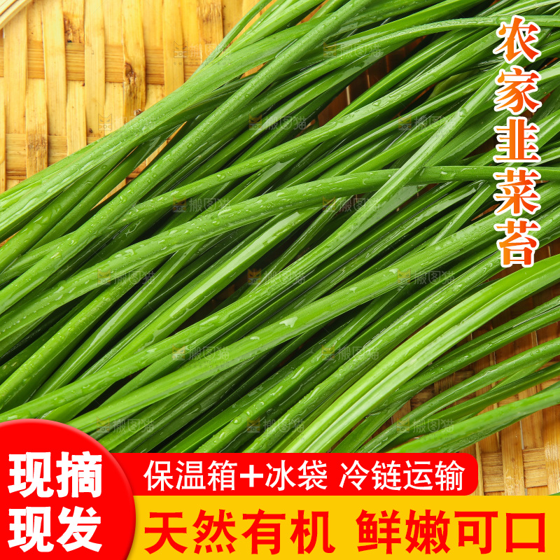 白底上的一篮韭菜苔