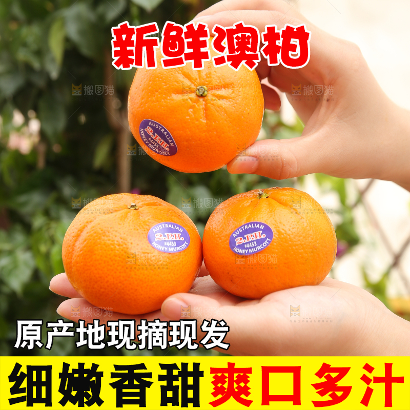 手里拿着进口澳柑