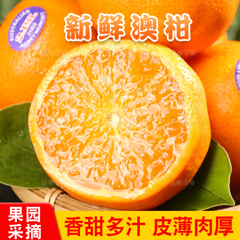 篮子里的进口澳柑