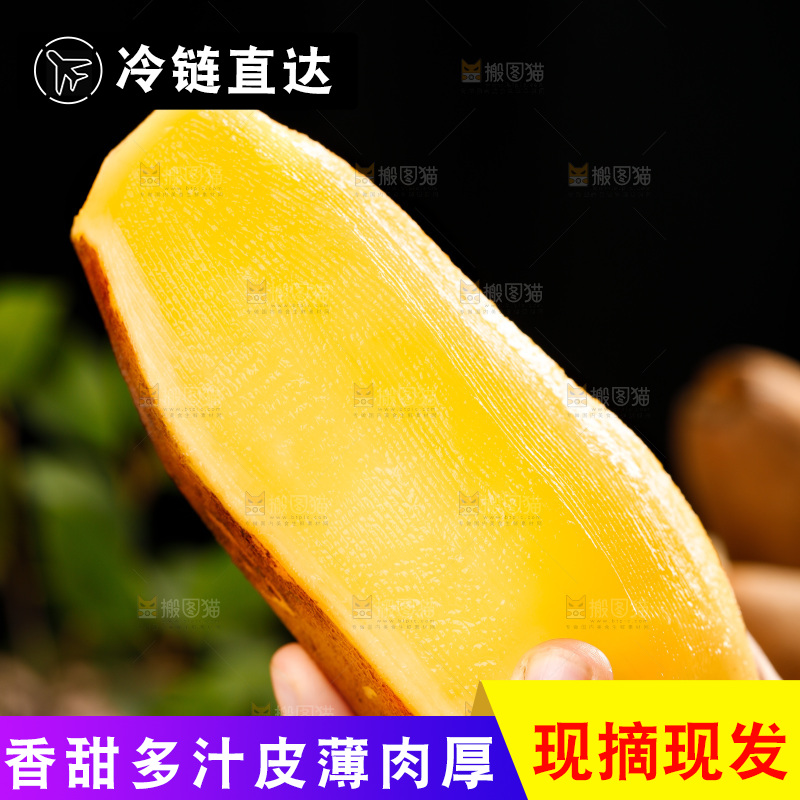 手里拿着雪莲果