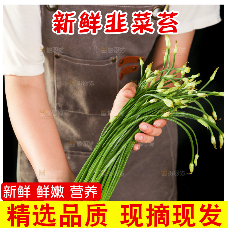 手里拿着韭菜苔