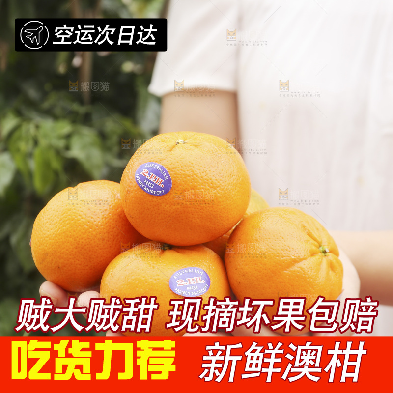 手里捧着新鲜澳柑