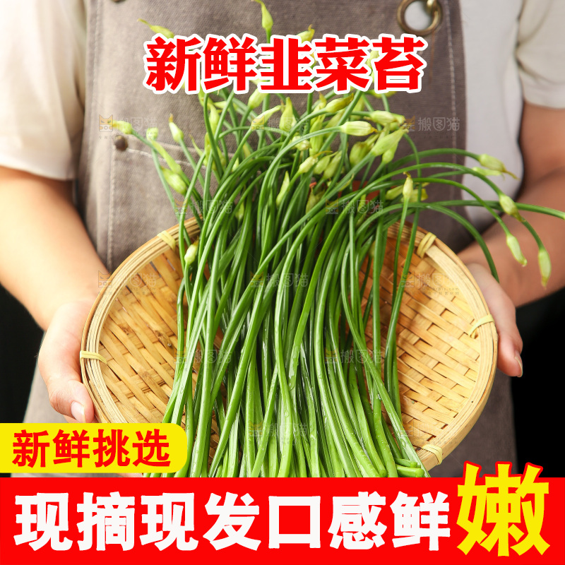 手里拿着一篮嫩韭菜苔