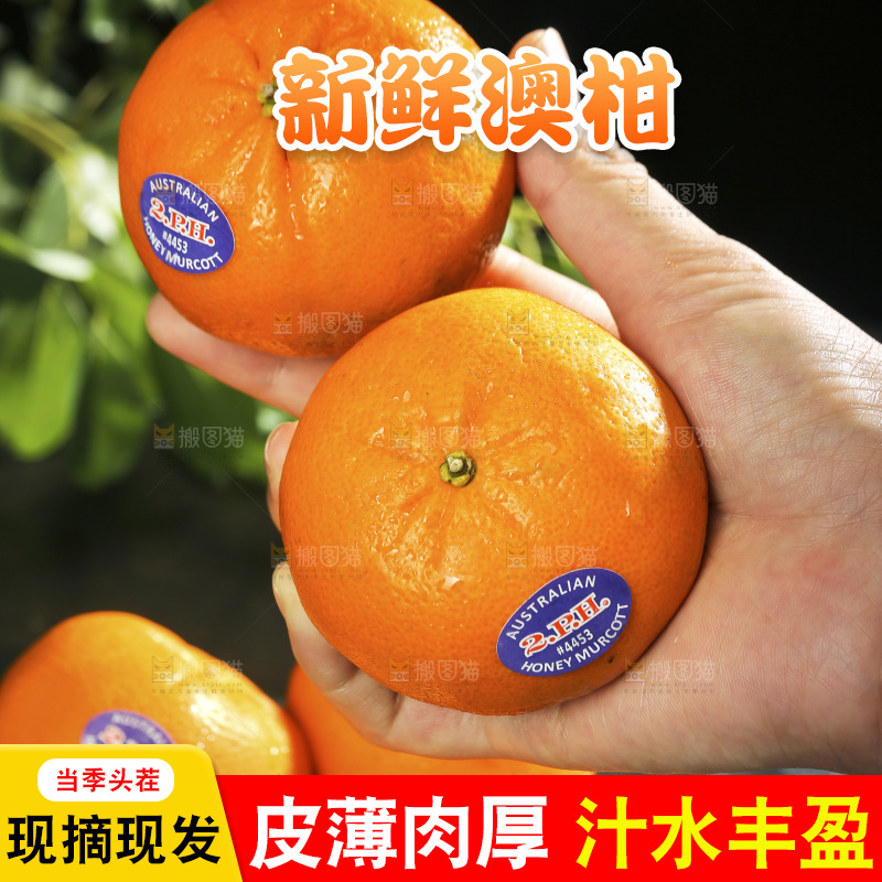 手里拿着进口澳柑