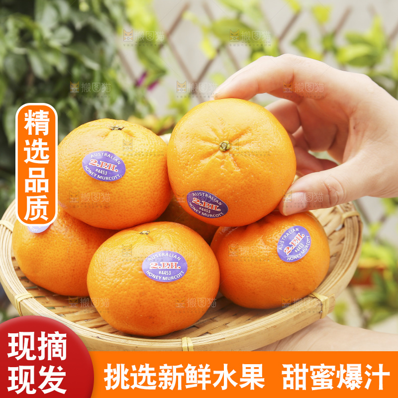 手里端一篮进口澳柑