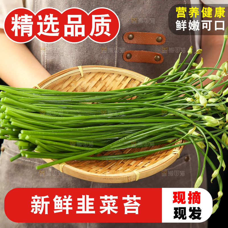 手里拿着一篮嫩韭菜苔