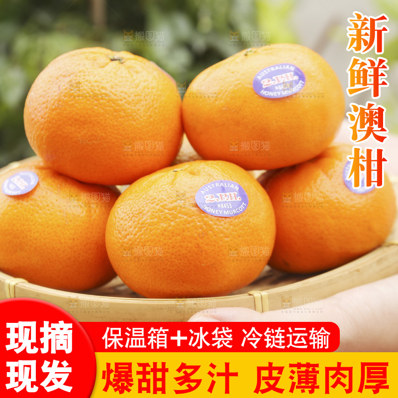 手里端一篮进口澳柑