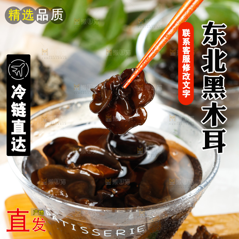 筷子上夹着东北黑木耳