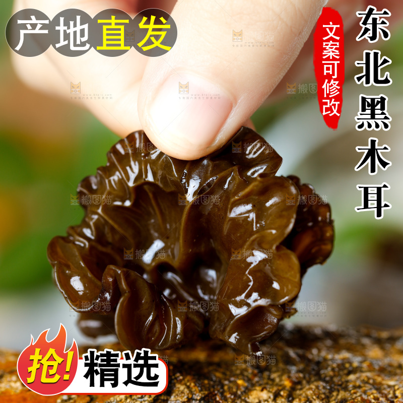 手里拿着黑木耳