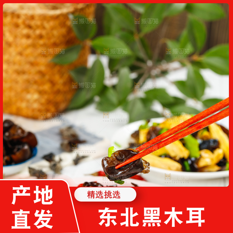 筷子上夹着青椒木耳