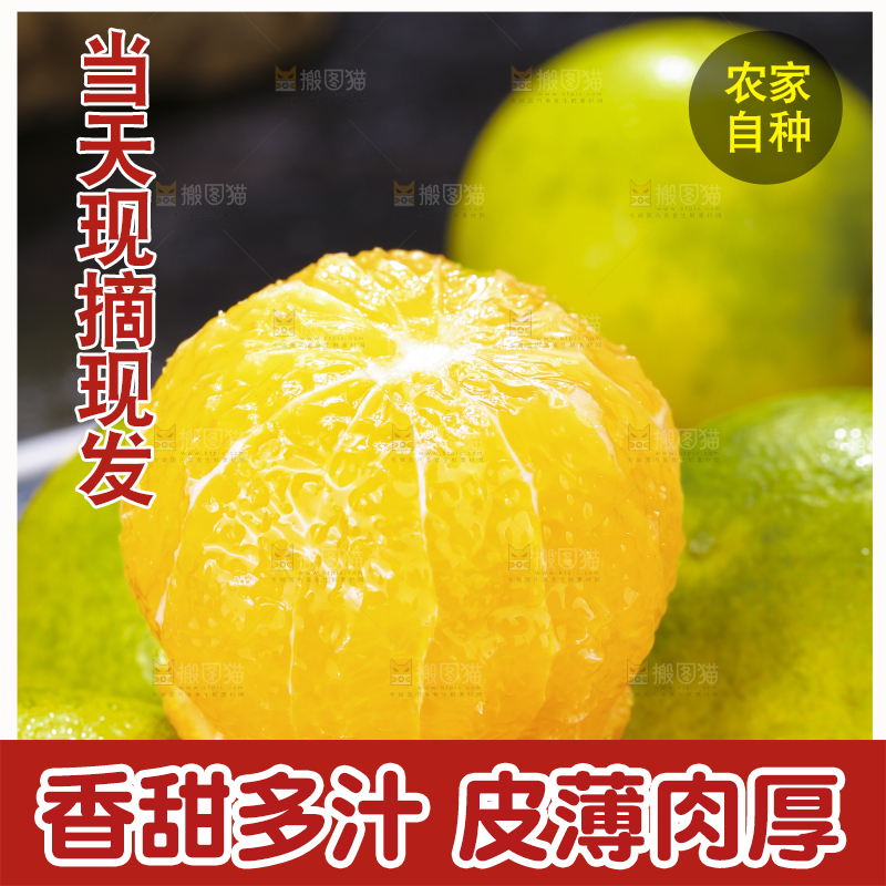 堆放着的爱媛果冻橙