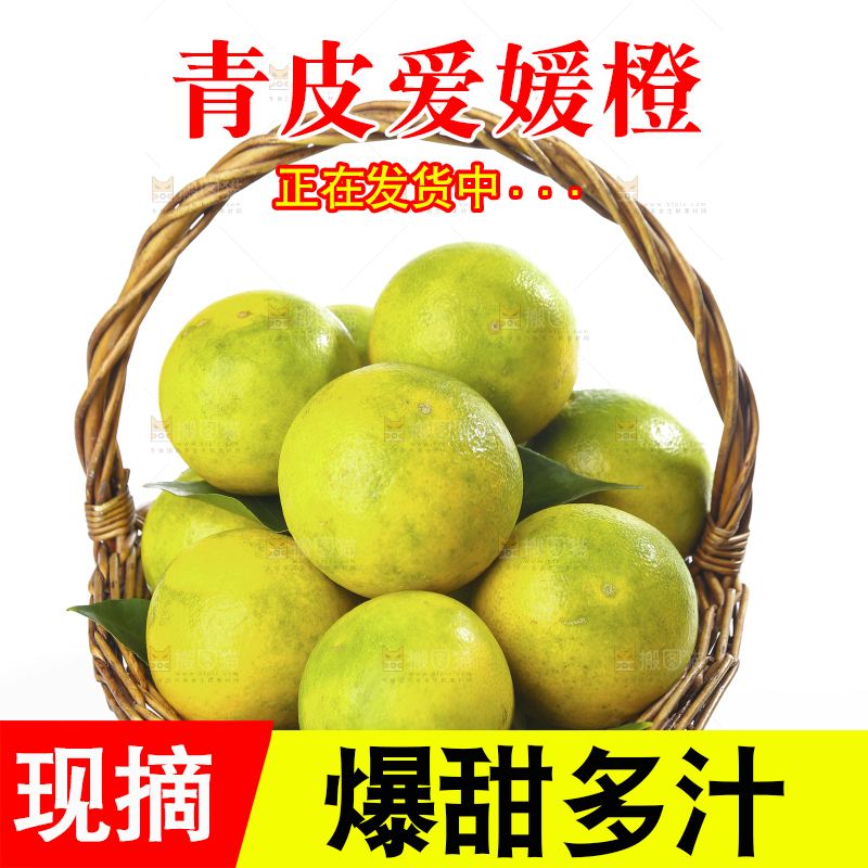 白底上的一篮爱媛果冻橙