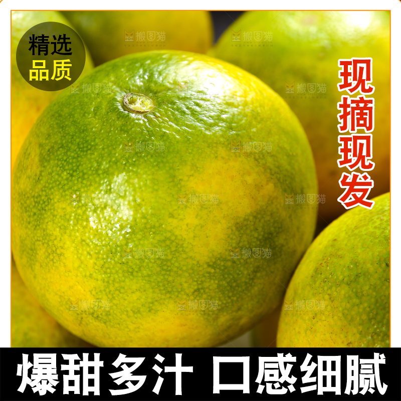 堆放着的青皮爱媛果冻橙