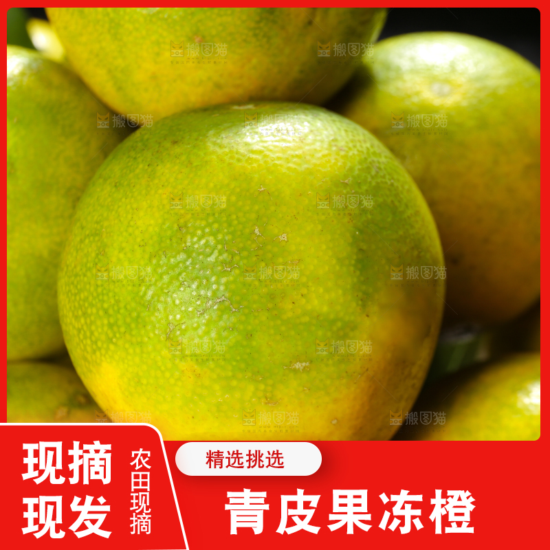堆放着的爱媛果冻橙