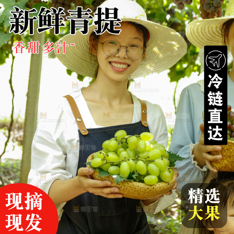 女孩手里拿着一篮青提