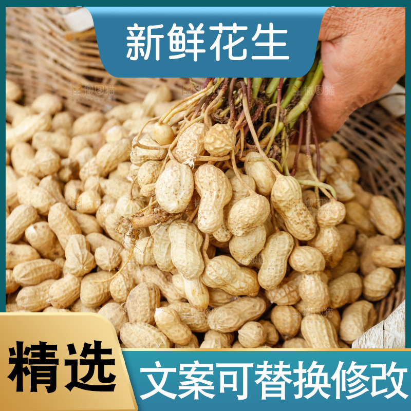 篮子里的新鲜带壳花生