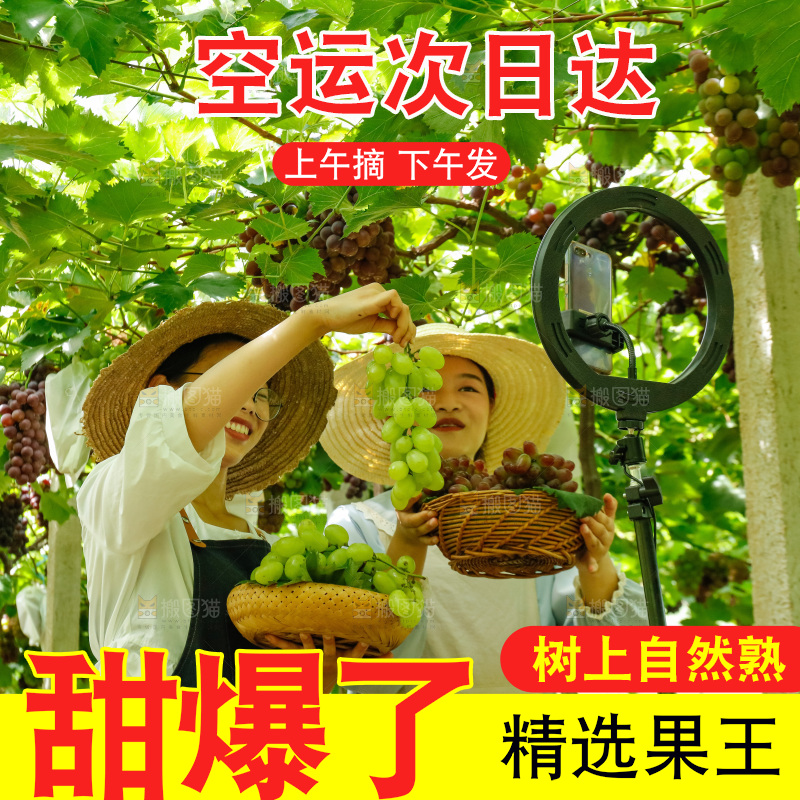 女孩手里拿着青提葡萄