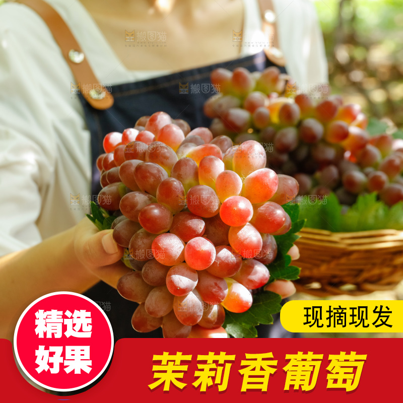 手里拿着茉莉香葡萄
