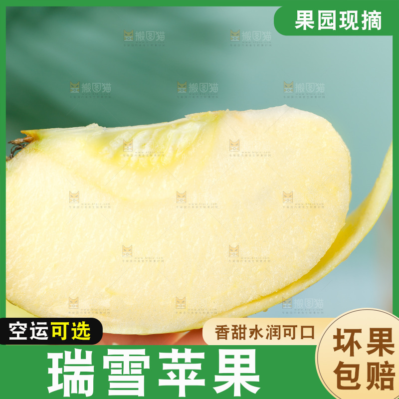 手里拿着瑞雪苹果