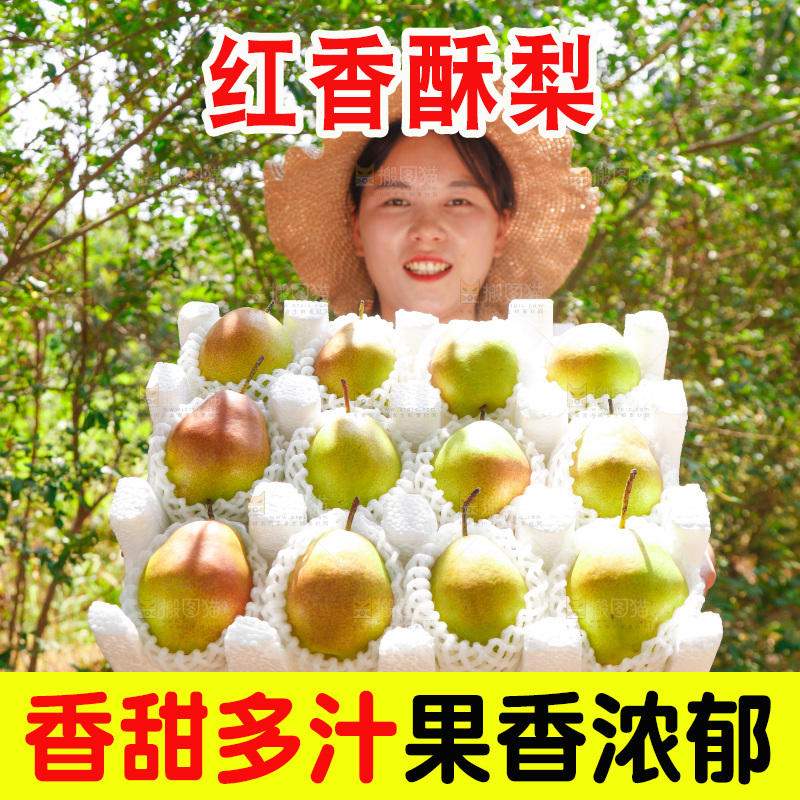 女孩拿着一箱红香酥梨