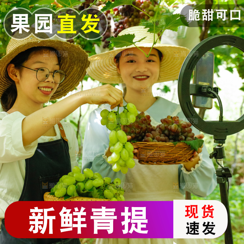 女孩手里拿着青提葡萄